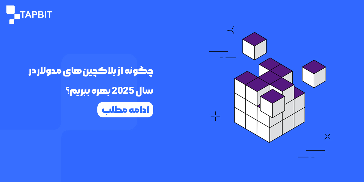 چگونه از بلاکچینهای مدولار در سال 2025 بهره ببریم؟